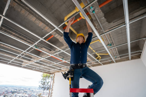 Best Plumbing Services Near Me  in Manchester, MI