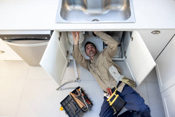 Best Residential Plumbing Services  in Manchester, MI
