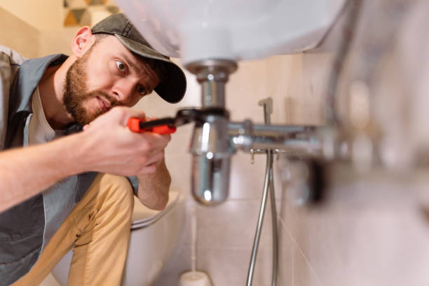 Best Plumbing Inspection Services  in Manchester, MI