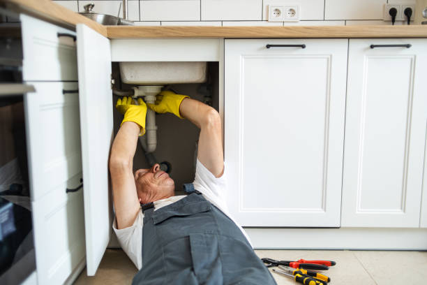 Best Sewer Line Repair  in Manchester, MI
