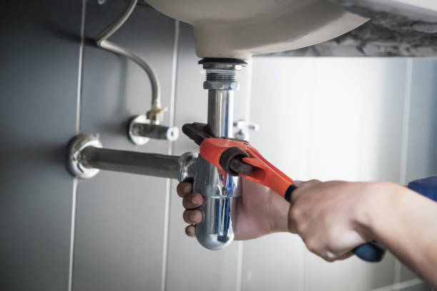 Best Local Plumber Services  in Manchester, MI